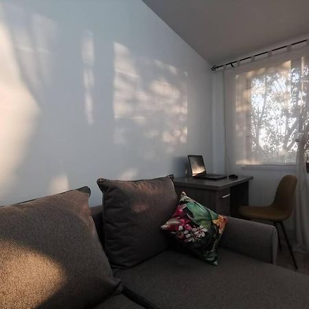 Apartament Gulliver In Centrul Vechi Iasi Extérieur photo