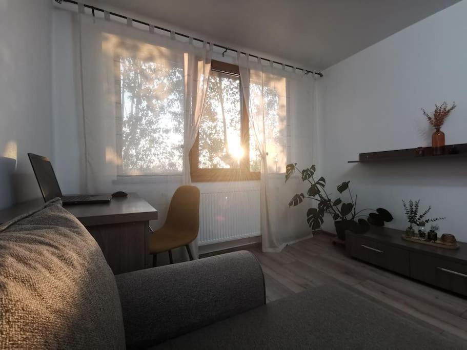 Apartament Gulliver In Centrul Vechi Iasi Extérieur photo
