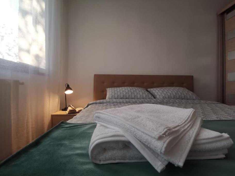 Apartament Gulliver In Centrul Vechi Iasi Extérieur photo