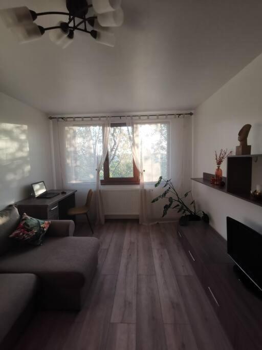 Apartament Gulliver In Centrul Vechi Iasi Extérieur photo