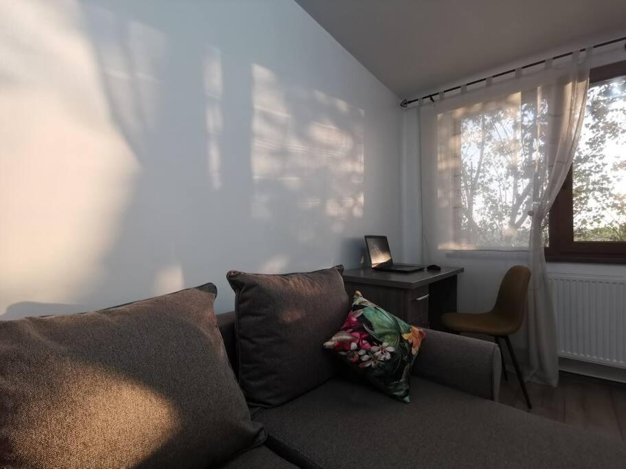 Apartament Gulliver In Centrul Vechi Iasi Extérieur photo