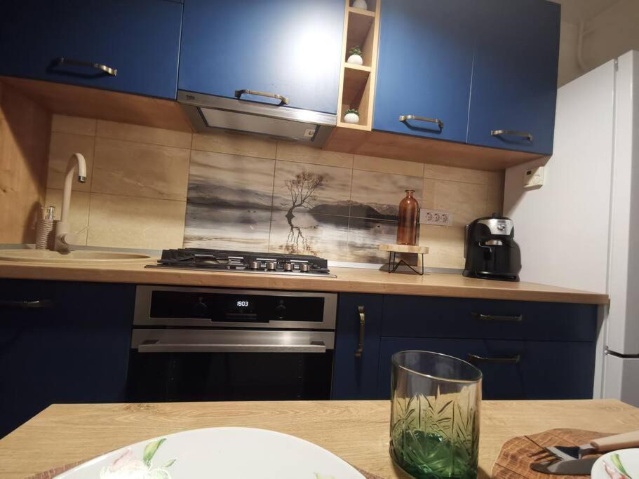 Apartament Gulliver In Centrul Vechi Iasi Extérieur photo